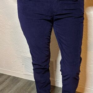 a.n.a Deep Purple Corduroy Pants